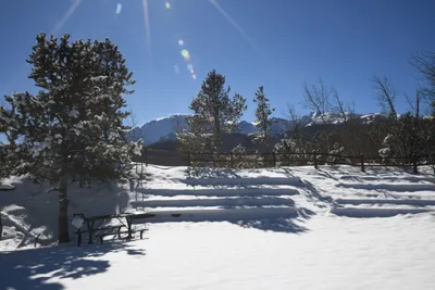 DSC_4869 (Large).JPG